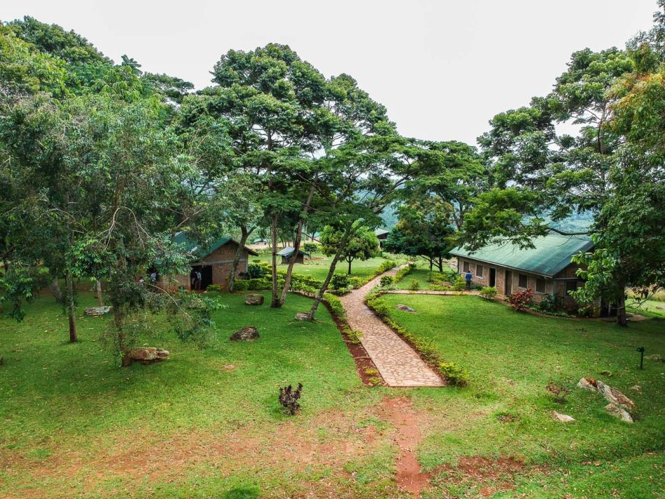 Forest cabins