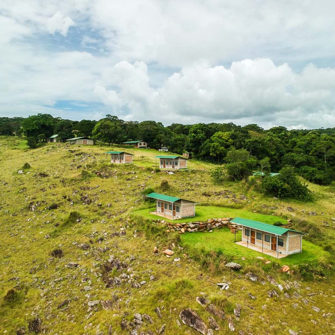 DCIM/100MEDIA/DJI_0459.JPG
